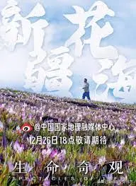 《生命奇观》：震撼心灵的自然史诗，探索生命的无限可能