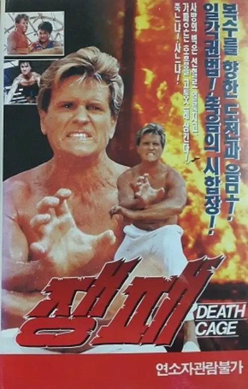 《搏击英雄》：热血格斗照亮人生逆袭之路，挑战极限的硬汉传奇！